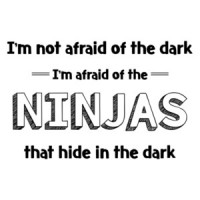 I'm Not Afraid of the Dark, I'm Afraid of Ninjas that Hide in the Dark  T-Shirt