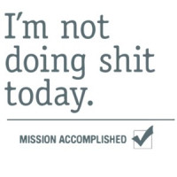 I'm not doing shit today. Mission Accomplished T-Shirt