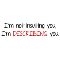 I'm Not Insulting You I'm Describing You T-Shirt