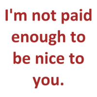 I'm not paid enough to be nice to you. Shirt