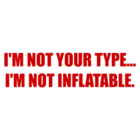 I'M NOT YOUR TYPE... I'M NOT INFLATABLE. Shirt