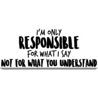 I'm only responsible for what I say not for what you understand - sarcastic t-shirt
