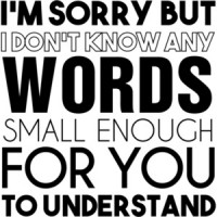I'm sorry but I don't know any words small enough for you to understand. Funny sarcastic t-shirt