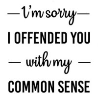I'm sorry I offended you with my common sense - sarcastic t-shirt