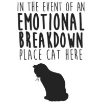In the event of an emotional breakdown place cat here t-shirt