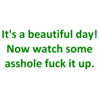 It's a beautiful day! Now watch some asshole fuck it up. Shirt
