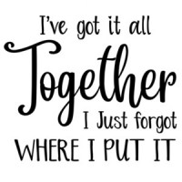 I've got it all together - I just forgot where I put it - Funny T-Shirt