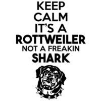 Keep Calm it's a rottweiler not a freakin shark - rottweiler dog t-shirt