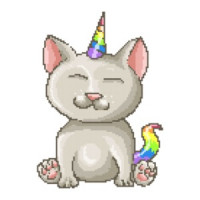 Kitty Unicorn T-Shirt