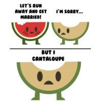 Let's Run Away And Get Married! I'm Sorry but I cantaloupe. Pun T-Shirt