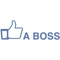 Like A Boss Funny Facebook Shirt
