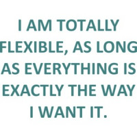 I AM TOTALLY FLEXIBLE, AS LONG AS EVERYTHING IS EXACTLY THE WAY I WANT IT. Funny T-Shirt Shirt