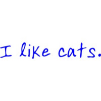 I like cats. Funny T-Shirt Shirt