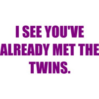 I SEE YOU'VE ALREADY MET THE TWINS. Shirt
