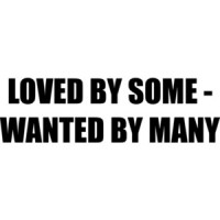 LOVED BY SOME - WANTED BY MANY Shirt