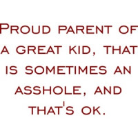 Proud parent of a great kid that is sometimes an asshole and that's ok - funny t-shirt