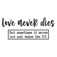 Love never dies... but sometimes it moves out and takes the T.V. Shirt