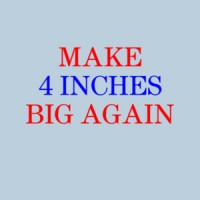 Make 4 Inches Big Again. Funny Offensive Shirt