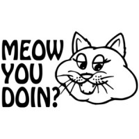 Meow You Doin? shirt