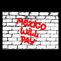Mexico Will Pay Shirt shirt
