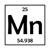 Mn Element - Minnesota T-Shirt