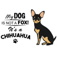 My dog is not a fox! It's a chihuahua - chihuahua t-shirt
