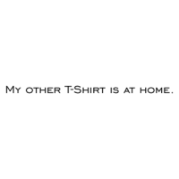 My other T-Shirt is at home. Shirt