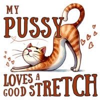 My Pussy Loves a Good Stretch - Inappropriate Offensive Shirt for Women