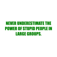 NEVER UNDERESTIMATE THE POWER OF STUPID PEOPLE IN LARGE GROUPS. Shirt