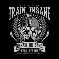 No Pain No Gain Train Insane Or Remain The Same Working Out Exercise T-Shirt
