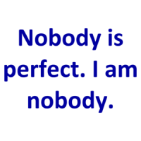 Nobody is perfect. I am nobody. Shirt