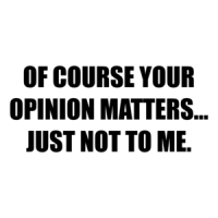 OF COURSE YOUR OPINION MATTERS... JUST NOT TO ME. Shirt