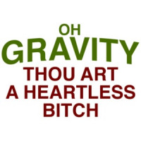 Oh Gravity, Thou Art a Heartless Bitch T-Shirt