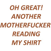 OH GREAT! ANOTHER MOTHERFUCKER READING MY SHIRT. Shirt