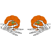 Pumpkin Nipple Skeleton - Ladies Halloween T-Shirt