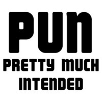 PUN Pretty Much Intended - Funny Pun T-Shirt