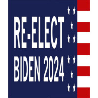 Re-Elect Biden 2024 - Election 2024 Democrat T-Shirt