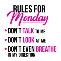 Rules For Monday - Don't Talk to me. Don't look at me. Don't breathe - funny t-shirt