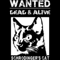 Schrodingers Cat - Wanted dead and alive - Funny T-Shirt