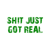 SHIT JUST GOT REAL Shirt