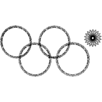 Sochi Olympic Ring Fail Funny Shirt