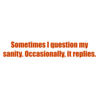 Sometimes I question my sanity. Occasionally, it replies. Shirt