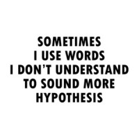 Sometimes I Use Words I Don't Understand To Sound Hypothesis shirt