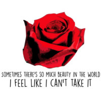 Sometime's there's so much beauty in the world I feel like I can't take it - American Beauty - 90's T-Shirt