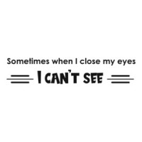 Sometimes When I Close My Eyes, I Can't See. T-Shirt