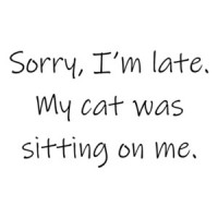 Sorry I'm late. My cat was sitting on me. Funny cat t-shirt