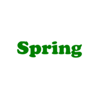 Spring - Maternity Shirt