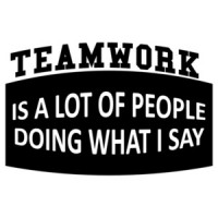 Teamwork Is a Lot Of People Doing What I Say shirt