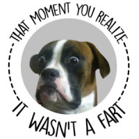 That moment you realize it wasn't a fart - funny dog t-shirt