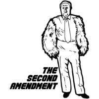 The Second Amendment Shirt
